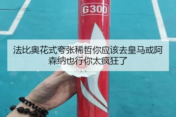 法比奥花式夸张稀哲你应该去皇马或阿森纳也行你太疯狂了